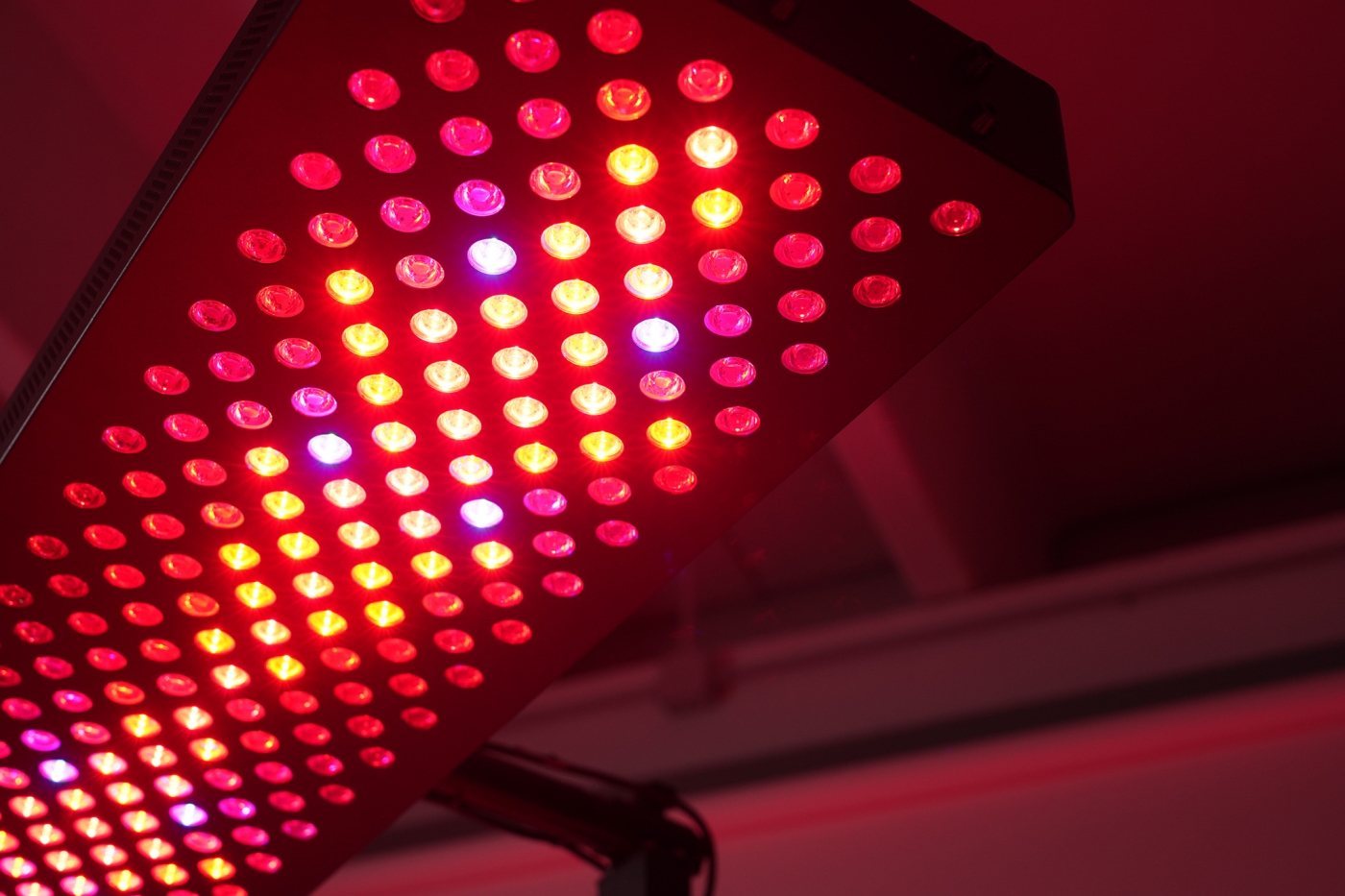 Taopatch® BODY STATION PULSE