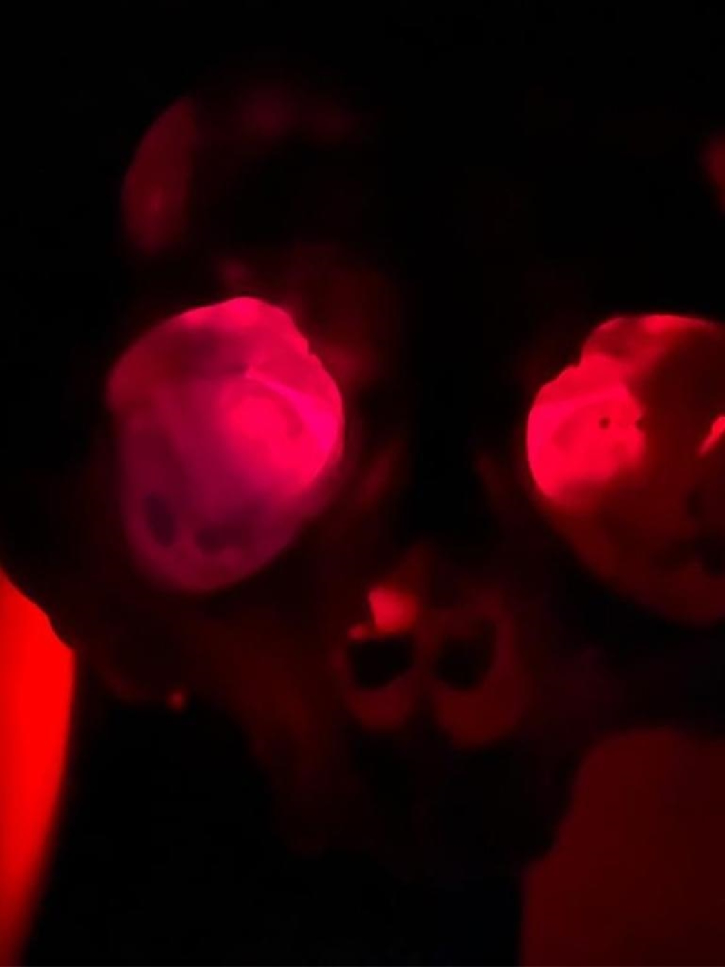 La terapia luminosa transcranica e Taopatch® 