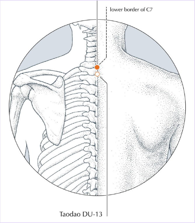 Taopatch® Start - Self Application Kit